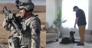 Army Veteran Claims That He Was Fired From Job Due To His
Service Dog