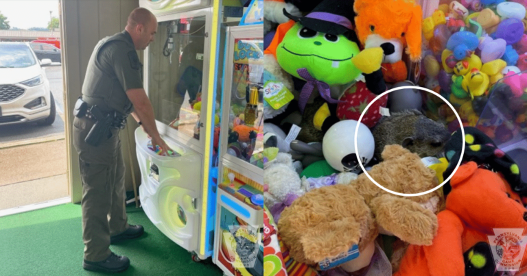 That’s Not A “Stuffed Animal”, Workers Find ‘Unexpected
Prize’ In Claw Machine
