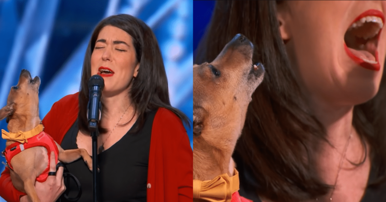 Woman Sings ‘All By Myself,’ But Tiny Dog ‘Hilariously’
Steals the Show