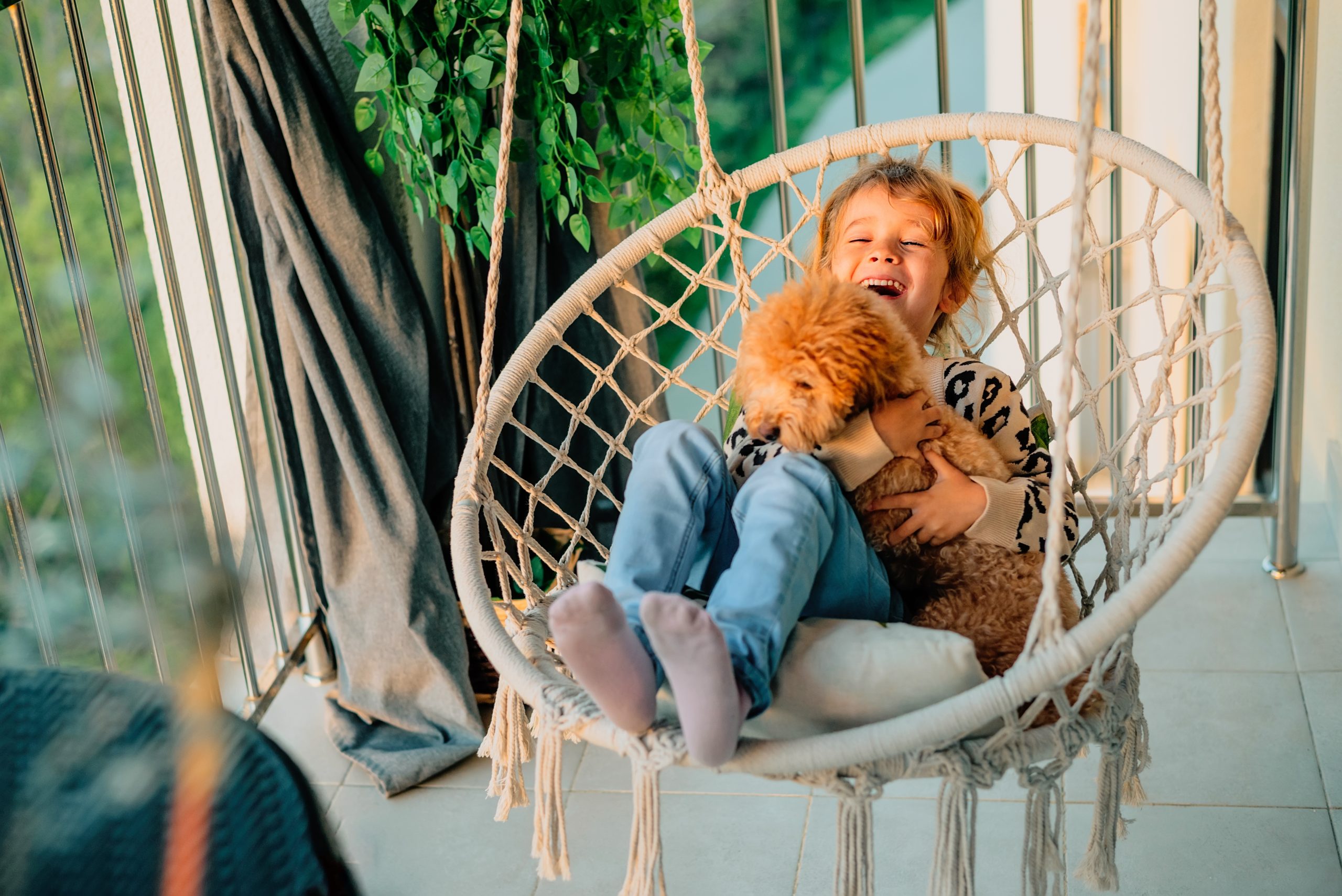 Little kid hugging a poodle dog at home on the balcony in spring