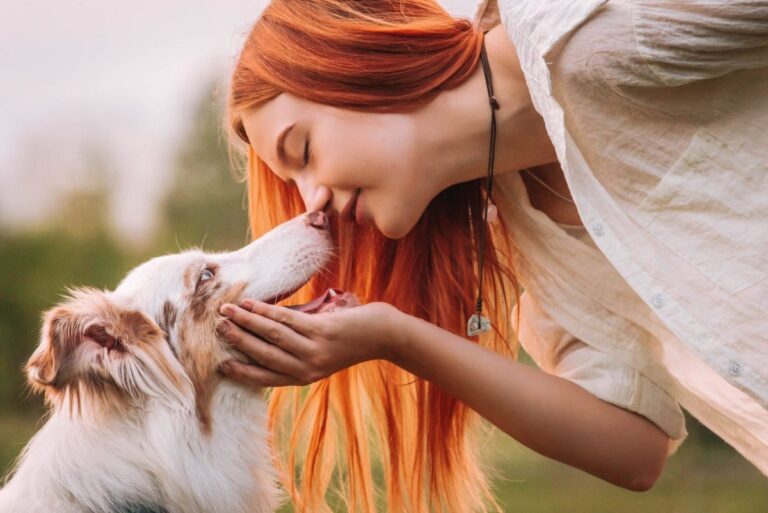 Top 11 Subtle Signs Your Dog Loves You More Than You
Realize